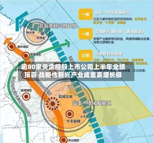逾80家央企控股上市公司上半年业绩报喜 战略性新兴产业成重要增长极-第2张图片