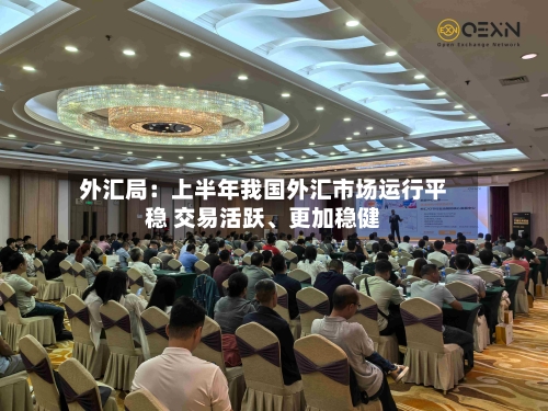 外汇局：上半年我国外汇市场运行平稳 交易活跃、更加稳健-第3张图片