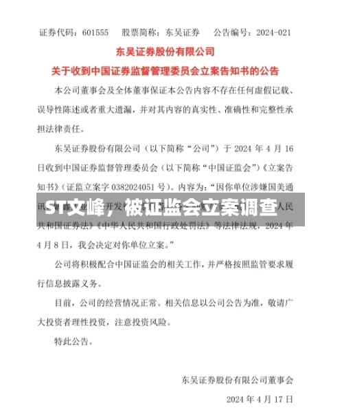 ST文峰	，被证监会立案调查-第2张图片