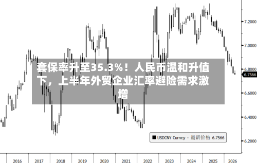 套保率升至35.3%！人民币温和升值下，上半年外贸企业汇率避险需求激增-第3张图片