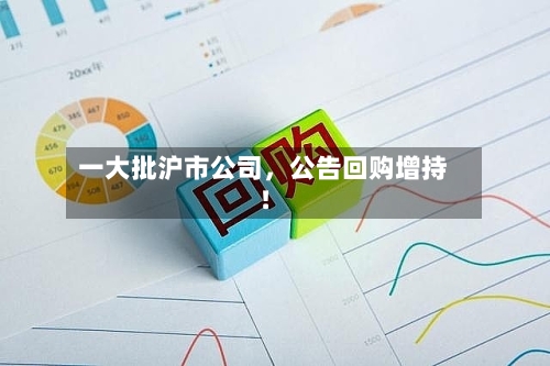 一大批沪市公司，公告回购增持！-第3张图片