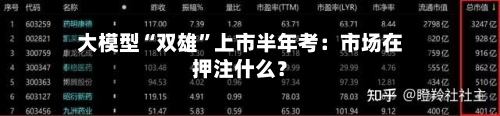 大模型“双雄”上市半年考：市场在押注什么？-第3张图片