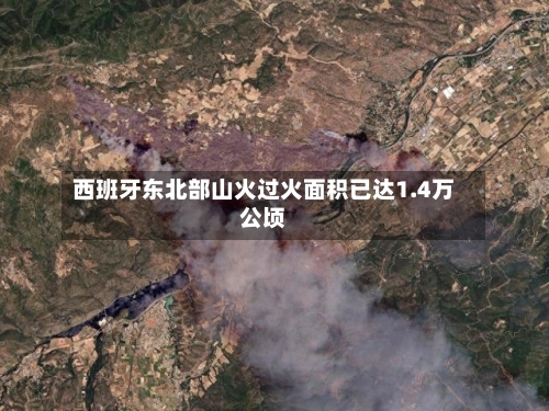 西班牙东北部山火过火面积已达1.4万公顷-第3张图片