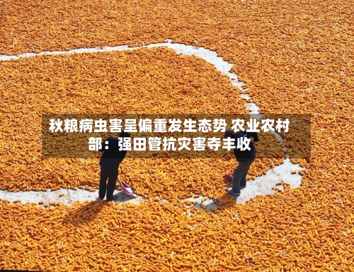 秋粮病虫害呈偏重发生态势 农业农村部：强田管抗灾害夺丰收-第2张图片