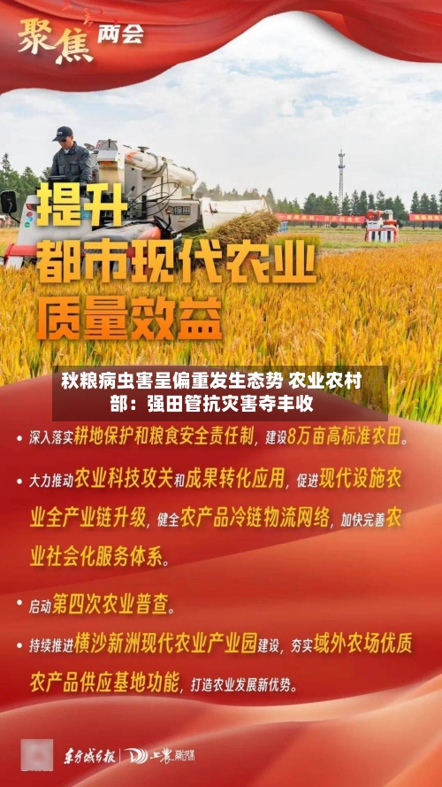 秋粮病虫害呈偏重发生态势 农业农村部：强田管抗灾害夺丰收-第3张图片
