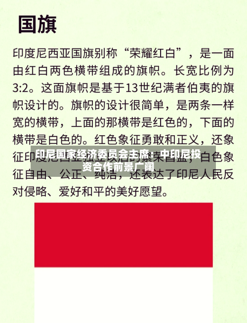 印尼国家经济委员会主席:中印尼投资合作前景广阔-第3张图片