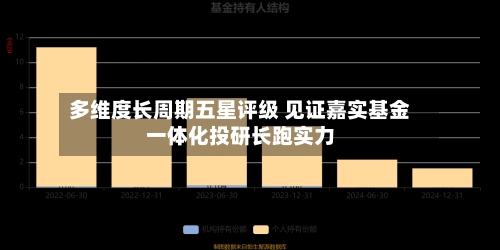 多维度长周期五星评级 见证嘉实基金一体化投研长跑实力