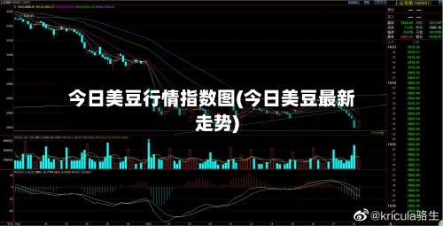 今日美豆行情指数图(今日美豆最新走势)-第1张图片