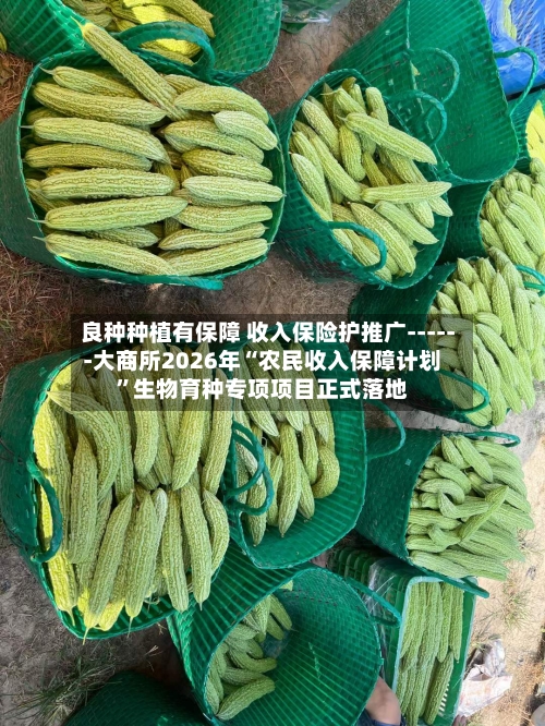 良种种植有保障 收入保险护推广------大商所2026年“农民收入保障计划	”生物育种专项项目正式落地-第1张图片