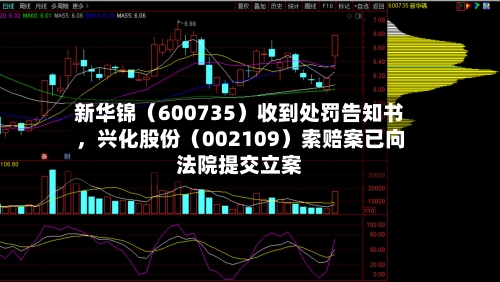 新华锦（600735）收到处罚告知书，兴化股份（002109）索赔案已向法院提交立案-第3张图片
