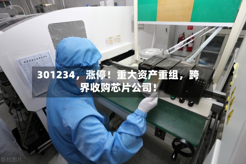 301234，涨停！重大资产重组	，跨界收购芯片公司！-第2张图片