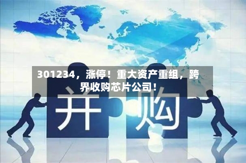 301234，涨停！重大资产重组，跨界收购芯片公司！