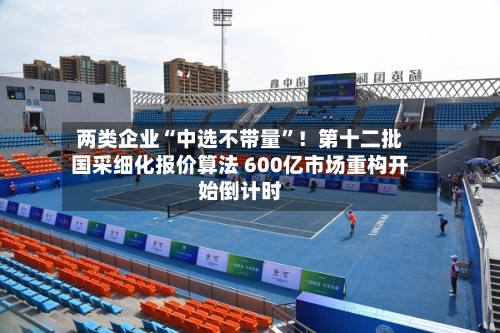 两类企业“中选不带量”！第十二批国采细化报价算法 600亿市场重构开始倒计时-第3张图片