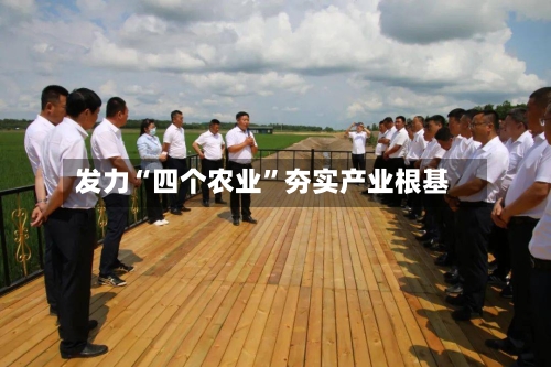 发力“四个农业”夯实产业根基-第2张图片