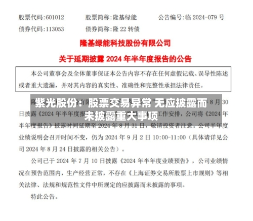 紫光股份：股票交易异常 无应披露而未披露重大事项-第2张图片