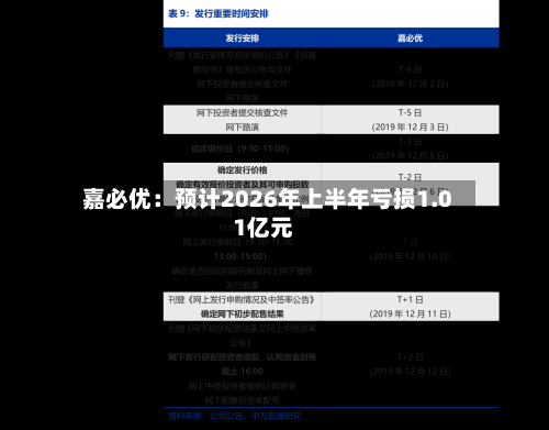 嘉必优：预计2026年上半年亏损1.01亿元-第2张图片