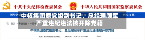 中核集团原党组副书记、总经理顾军严重违纪违法被开除党籍-第3张图片