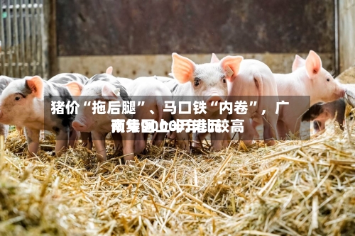 猪价“拖后腿”、马口铁“内卷	”，广南集团上半年比较高预亏9000万港元-第3张图片