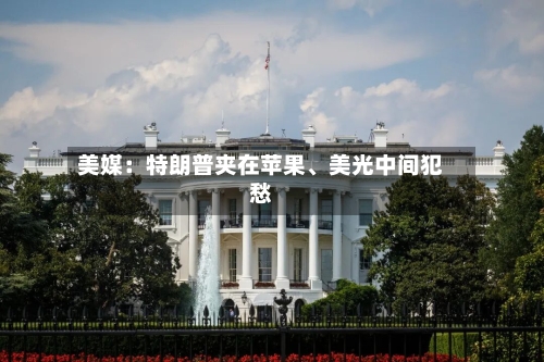 美媒：特朗普夹在苹果、美光中间犯愁-第2张图片