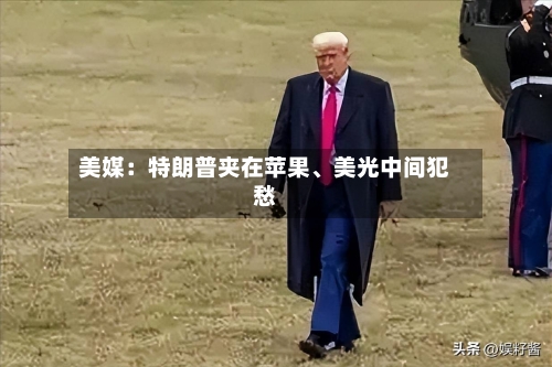美媒：特朗普夹在苹果、美光中间犯愁-第3张图片