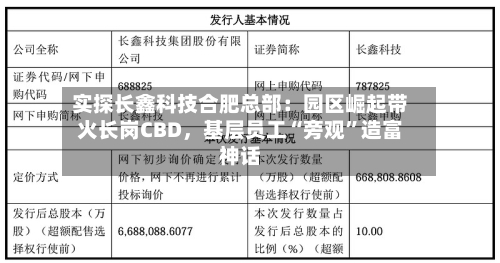 实探长鑫科技合肥总部：园区崛起带火长岗CBD	，基层员工“旁观”造富神话-第2张图片