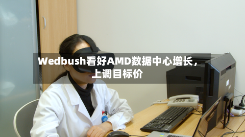 Wedbush看好AMD数据中心增长，上调目标价-第3张图片