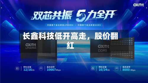 长鑫科技低开高走，股价翻红-第2张图片