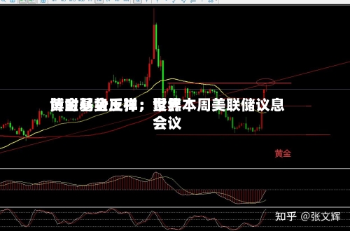博时基金王祥：世界黄金弱势反弹，聚焦本周美联储议息会议-第2张图片