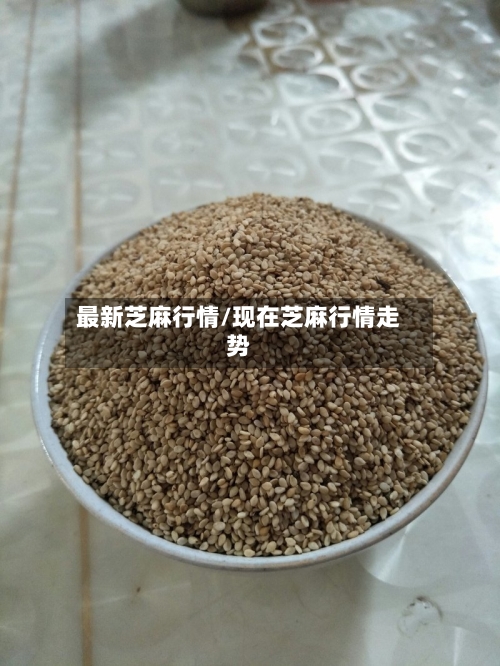 最新芝麻行情/现在芝麻行情走势
