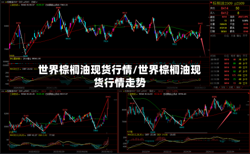 世界棕榈油现货行情/世界棕榈油现货行情走势-第2张图片