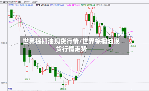 世界棕榈油现货行情/世界棕榈油现货行情走势