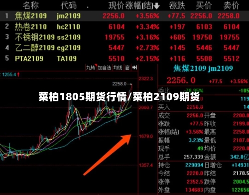菜柏1805期货行情/菜柏2109期货
