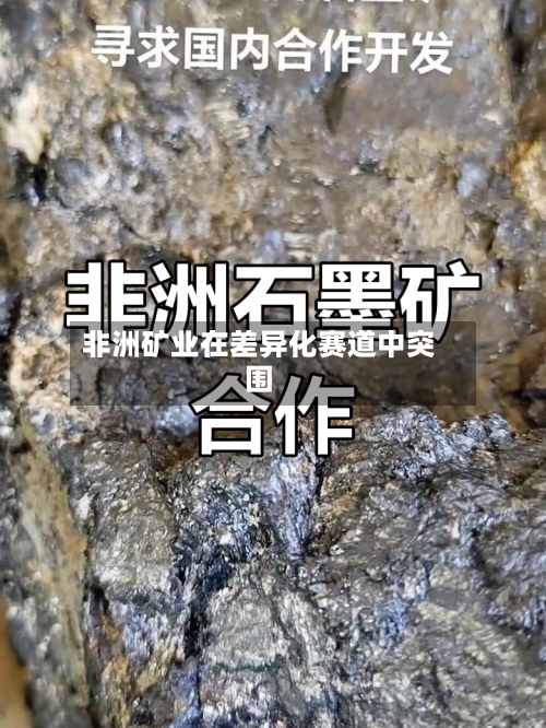 非洲矿业在差异化赛道中突围