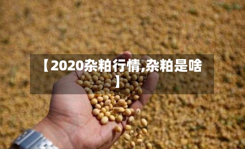【2020杂粕行情,杂粕是啥】-第2张图片