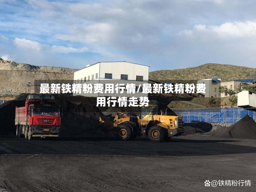 最新铁精粉费用行情/最新铁精粉费用行情走势
