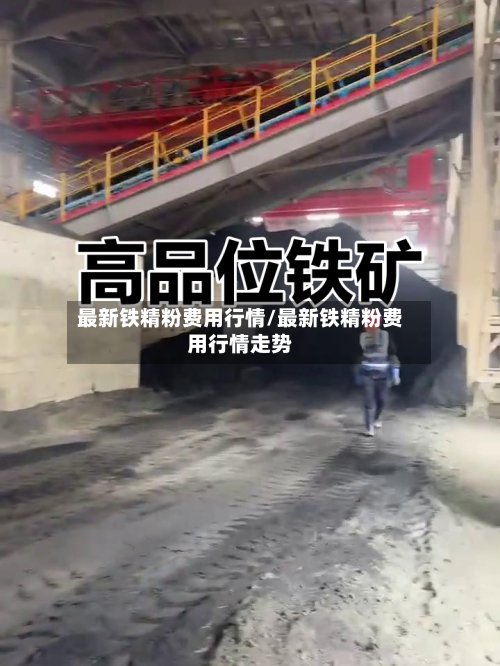 最新铁精粉费用行情/最新铁精粉费用行情走势-第2张图片