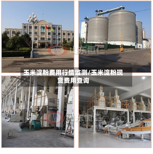 玉米淀粉费用行情监测/玉米淀粉现货费用查询