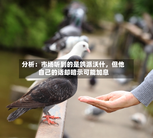 分析：市场听到的是鸽派沃什，但他自己的话却暗示可能加息-第2张图片