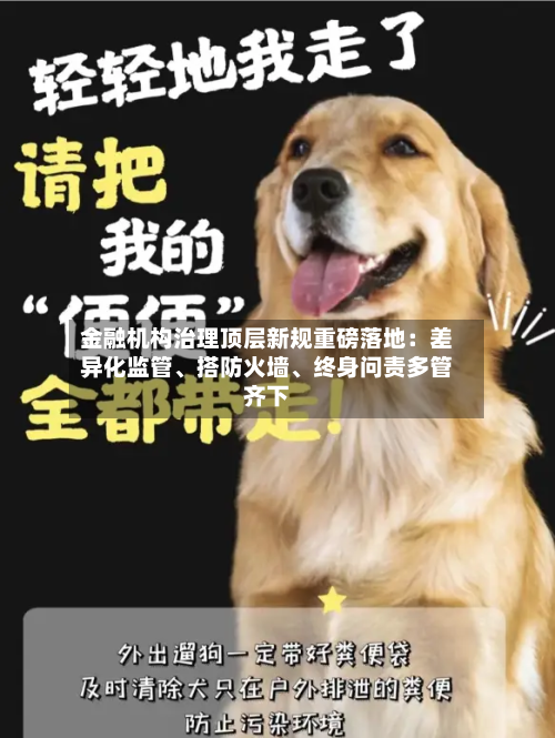 金融机构治理顶层新规重磅落地：差异化监管、搭防火墙、终身问责多管齐下-第2张图片