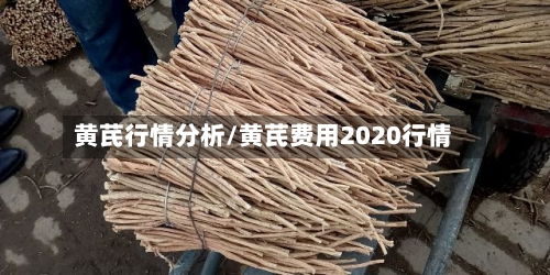 黄芪行情分析/黄芪费用2020行情-第2张图片