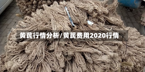 黄芪行情分析/黄芪费用2020行情-第3张图片