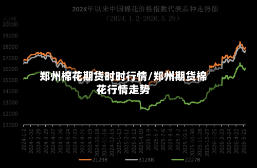 郑州棉花期货时时行情/郑州期货棉花行情走势-第2张图片