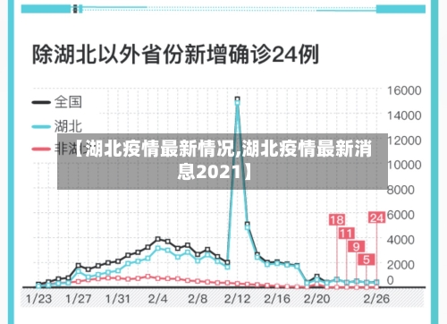 【湖北疫情最新情况,湖北疫情最新消息2021】-第2张图片