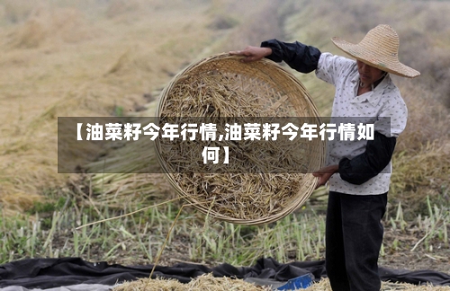 【油菜籽今年行情,油菜籽今年行情如何】-第2张图片
