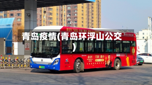 青岛疫情(青岛环浮山公交)-第2张图片