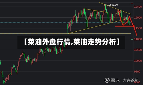 【菜油外盘行情,菜油走势分析】-第2张图片