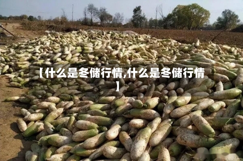 【什么是冬储行情,什么是冬储行情】-第2张图片