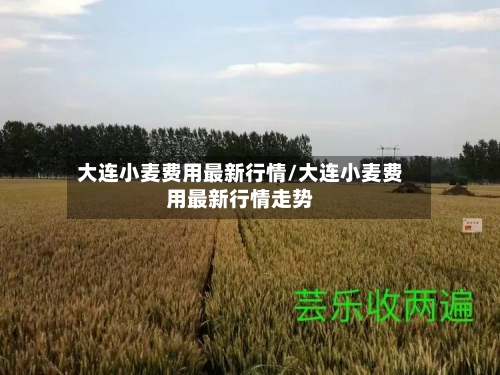 大连小麦费用最新行情/大连小麦费用最新行情走势