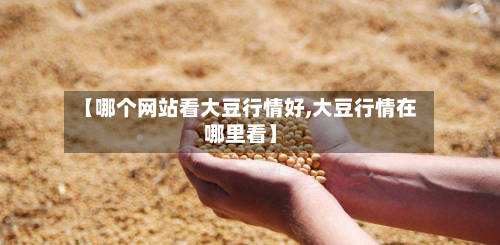 【哪个网站看大豆行情好,大豆行情在哪里看】