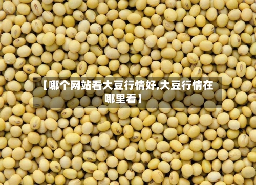【哪个网站看大豆行情好,大豆行情在哪里看】-第3张图片